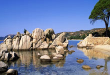 开云体育下载-钢铁之城的叹息：沙尔克王朝崩塌时刻，更衣室风暴吞噬最后希望