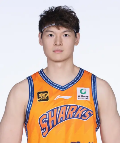 查尔勒罗伊球队展现出色比赛水平，连胜的简单介绍