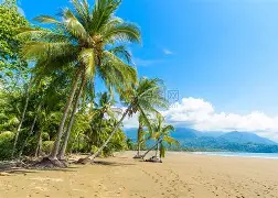 开云官网-哥斯达黎加游泳选手抢先赢得