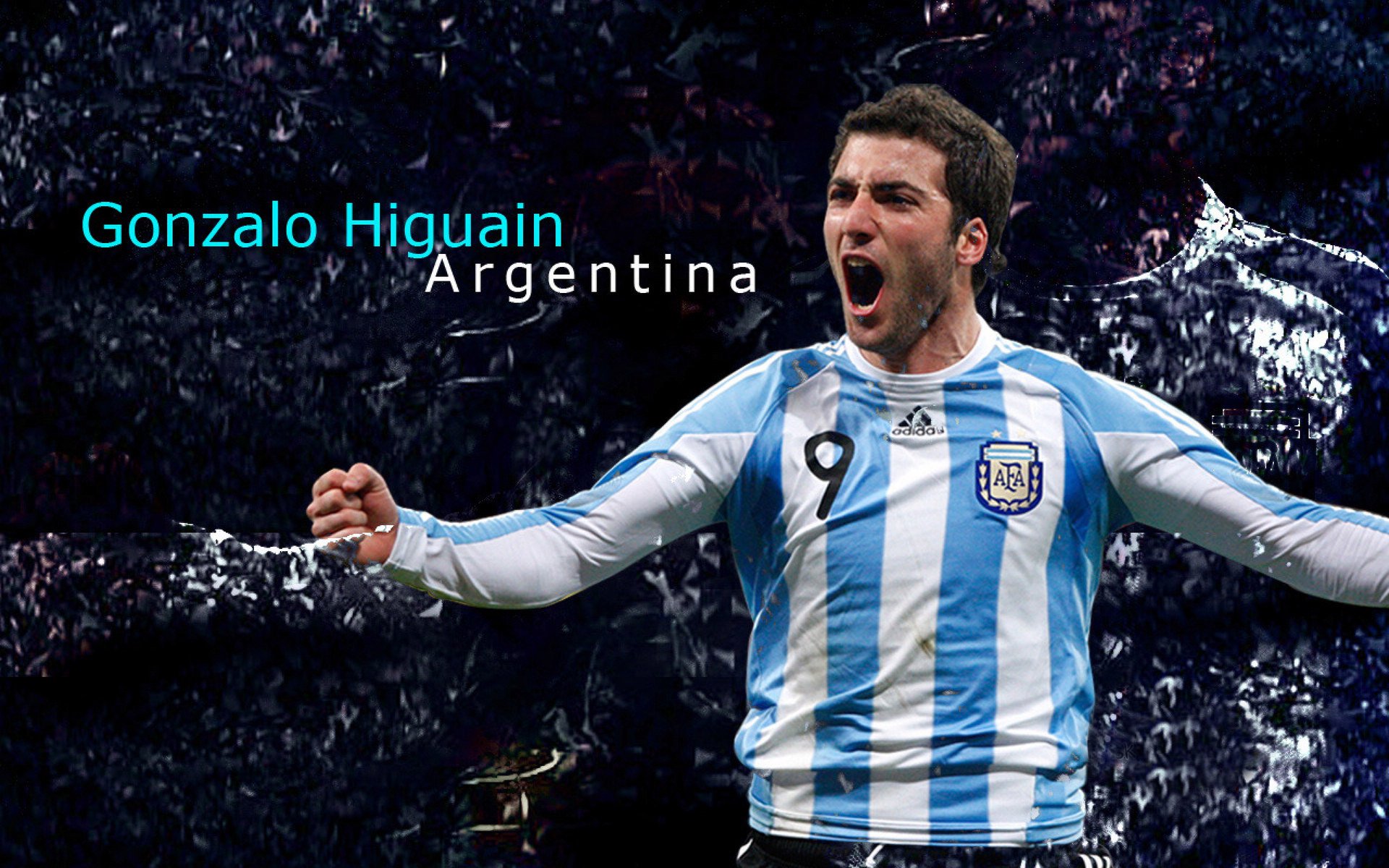 末节,他射落了太阳