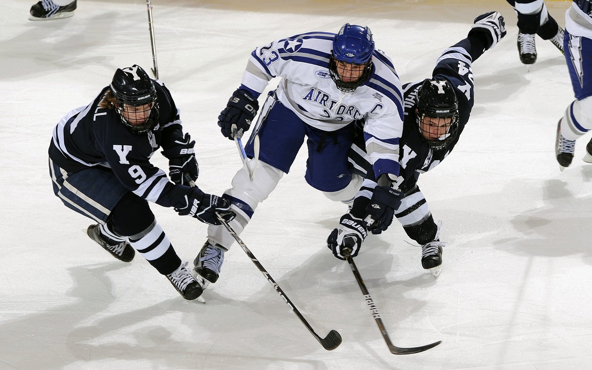 逆转的鹰翼与统治的棋盘，当波兰足球鏖战英格兰，樊振东征服乒乓战场